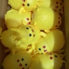 Inflatable soft animals, needed contact details Picture